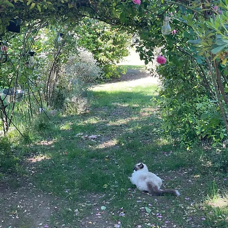 Holiday home Le Pimayon Manosque